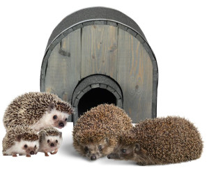 Domek dla jeża schron Legowisko Gniazdo typu IGLOO budka lęgowa Szary