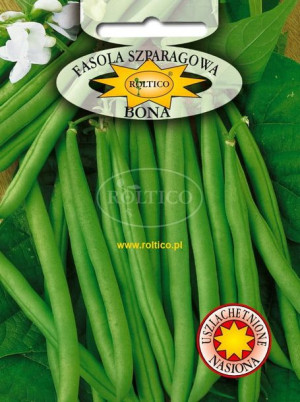 Fasola zielona karłowa Bona 30g nasiona