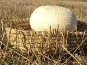 Ser Koryciński Z Ziołami Prowansalskimi 0,5 Kg