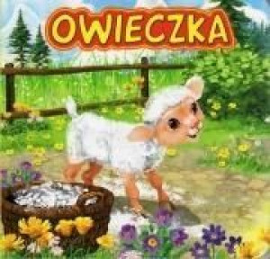 Owieczka JAFI Kataryzna Campbell