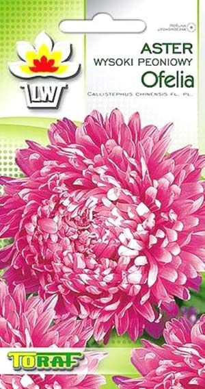Nasiona Aster peoniowy wysoki Ofelia 1g