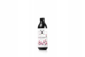 Szampon Daniel Washington Active Shampoo 500ML