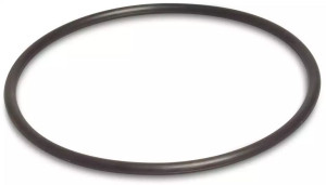 Uszczelka ORING korpusu pompy WZ 250 omnigena