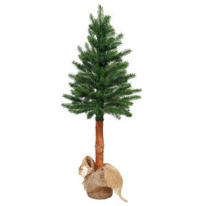 Choinka Gumowa Sara Na Pniu 120 Cm