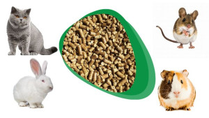 Żwirek Drewniany Dla Kota Królika Pelet Bio Eko 5kg