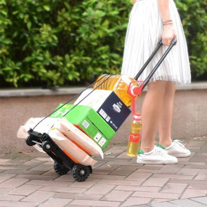 Składany Wózek Transportowy 40Kg