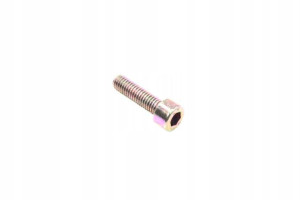 Śruba Silnika M6 X 22mm Gy6 Wangye 4t 50