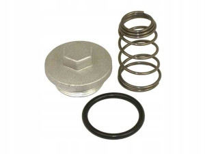 Korek Spustu Oleju Gy6-50 Zestaw Baotian Org 29mm