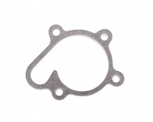 Uszczelka Pompy Wody Yamaha Yxr 450 Rhino 06-09