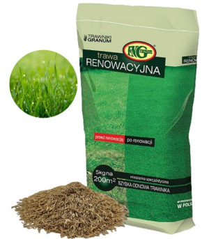 Trawa Regeneracyjna Renowacyjna Do Odnawiania 5kg