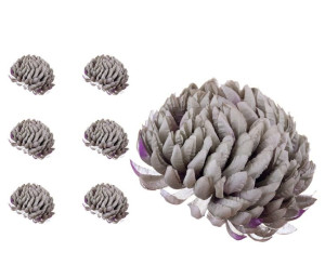 Chryzantema ananas miętowo fioletowa 6 sztuk