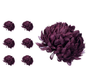 Chryzantema ananas ciemno burgundowa 6 sztuk