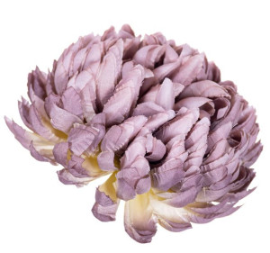 Chryzantema ananas pudrowo fioletowa