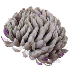 Chryzantema ananas miętowo fioletowa