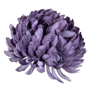 Chryzantema ananas fioletowa