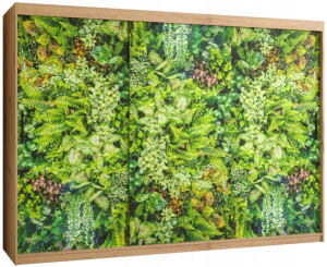 Szafa przesuwna garderoba BLUSZCZ 1 250 cm