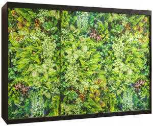 Szafa przesuwna garderoba BLUSZCZ 1 250 cm