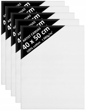 5x Podobrazie 40x50 Podobrazia Blejtram Davinci