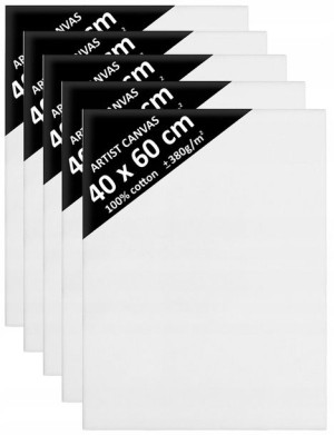 5x Podobrazie 40x60 Podobrazia Blejtram Davinci