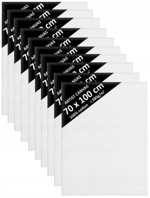 10x Blejtram Podobrazie 70x100 Podobrazia Davinci