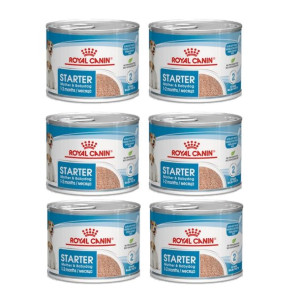 Royal Canin SHN Starter Mousse szczenięta 6x195g