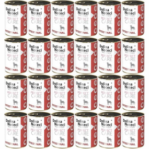 Dolina Noteci Perfect Care Intestinal 24x400g