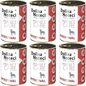 Dolina Noteci Perfect Care Intestinal 6x400g