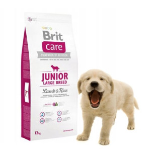 BRIT CARE Dog JUNIOR Large Breed 12kg