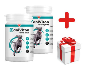 VETOQUINOL Caniviton Forte Plus - Karma Uzupełniająca Dla Psów 2x90 tab + N