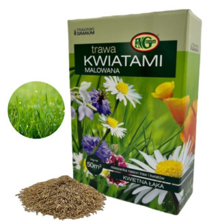 Trawa Ogrodowa Kwiatami Malowana Łąka Kwiatowa 1kg