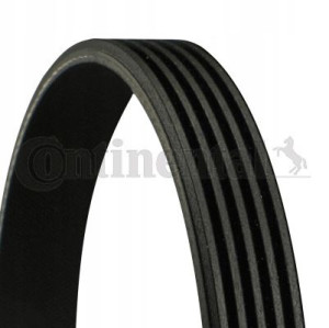 Conti Pasek Wielorowkowy Wieloklinowy 5pk491