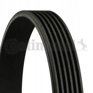 Conti Pasek 6pk1200 Renault Megane Ii Iii 1.6 16v