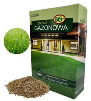 Trawa Dekoracyjna Gazon Ogrodowa Wolno Rosnąca 1kg