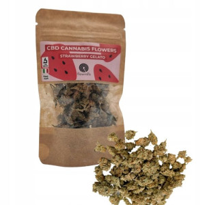 Susz Konopny CBD Strawberry Gelato 5g Flowrolls