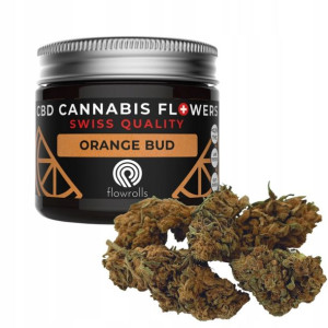 Susz konopny CBD 4% ORANGE BUD 30g outdoor