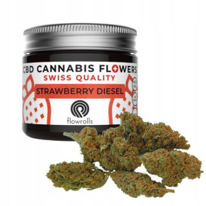 Strawberry Diesel susz CBD Flowrolls 2g Indoor
