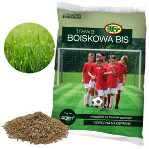 Trawa Boiskowa Samozagęszczająca Sportowa 1kg 40m2