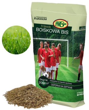 Trawa Boiskowa Samozagęszczająca Sportowa 5kg 200m2