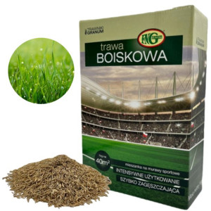 Trawa Sportowa Na Murawę Odporna Na Wymarzanie 1kg