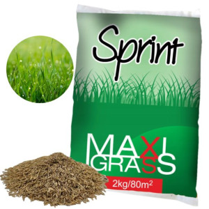 Trawa Srint Przeciw Chwatom Szybko Rosnąca 2kg 80m2