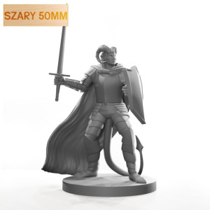 Figurka Rpg - Seria Humanoidy - Diaboliczny Paladyn - Szary 50 Mm