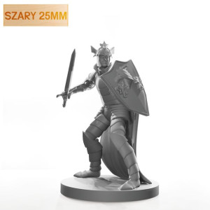 Figurka Rpg - Seria Humanoidy - Paladyn Bahamuta - Szary 25 Mm