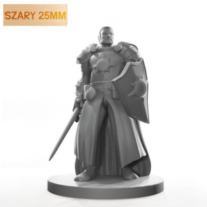 Figurka Rpg - Seria Humanoidy - Kleryk Światła Z Mieczem - Szary 25 Mm