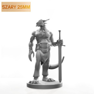 Figurka Rpg - Seria Humanoidy - Smoczy Wojownik Z Mieczem - Szary 25 Mm