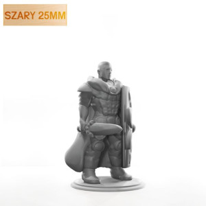 Figurka Rpg - Seria Humanoidy - Elitarny Strażnik C - Szary 25 Mm