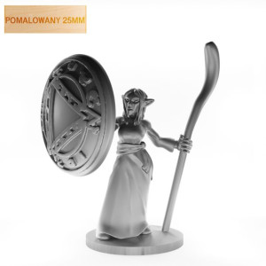 Figurka Rpg Seria Humanoidy Moja  Służąca Potrafi Czarować? Pomalowany 25Mm