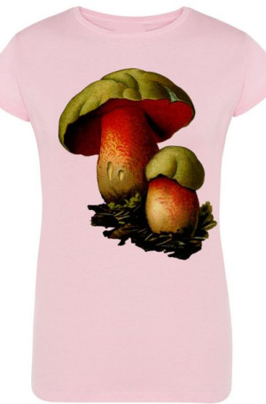 Borowiki Damski T-Shirt ModnyNadruk Rozm.M