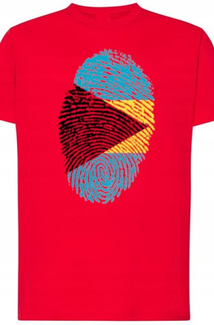 Bahamy Flaga Odcisk Męski T-Shirt Rozm.4XL