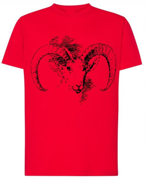Baran Męski Modny T-shirt Nadruk Lato Rozm.5XL