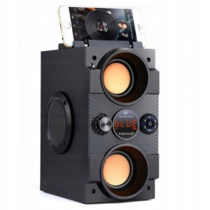 FEEGAR Głośnik bezprzewodowy bluetooth radio 30W